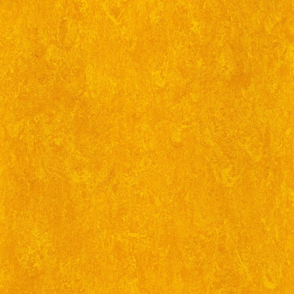 125-172 papaya orange