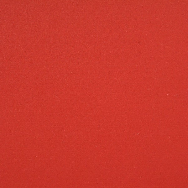 101-010 pompeji red