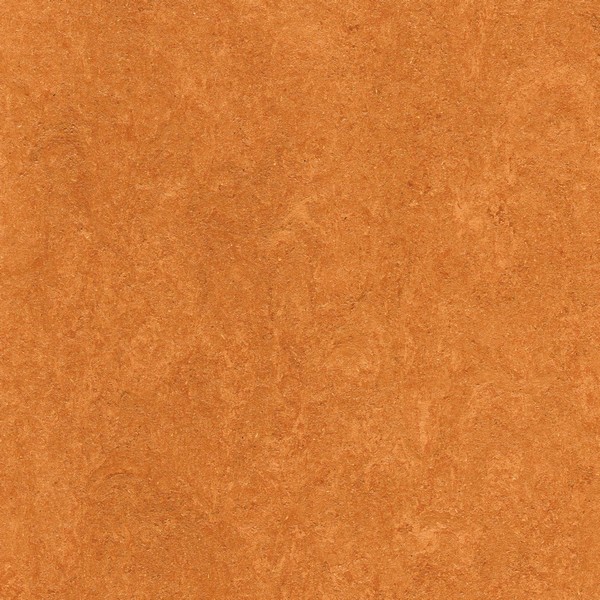 121-174 physalis orange